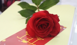 Chương trình tri ân “5 năm – Đồng hành cùng Cambridge Bến Tre”