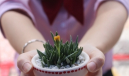 Ấm áp chương trình “Cây yêu thương – Góp niềm vui mùa tựu trường”