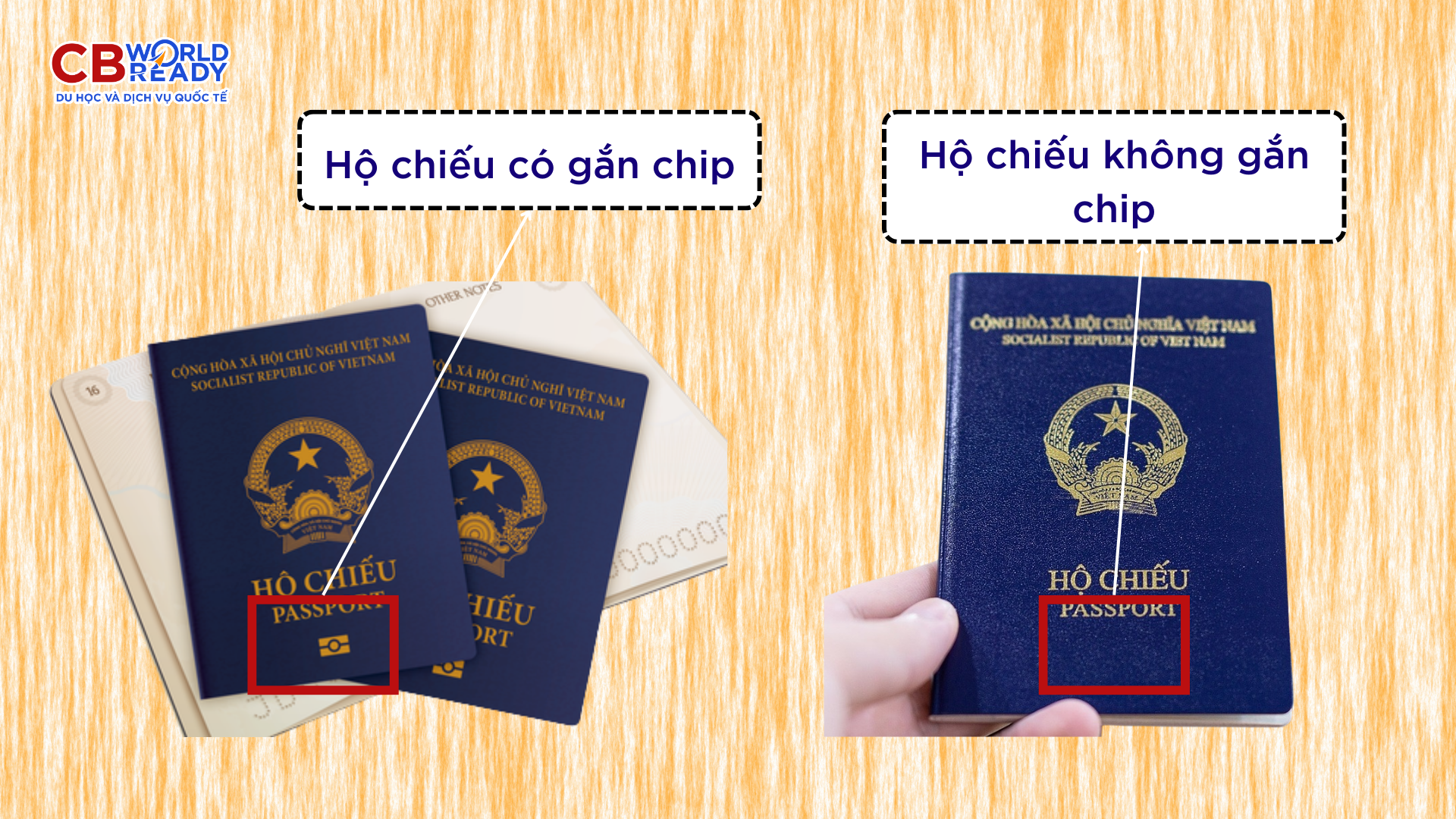 ho-chieu-6