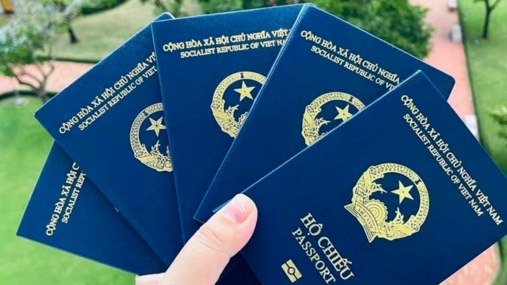 lam-ho-chieu-nhanh-2