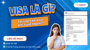 visa-1